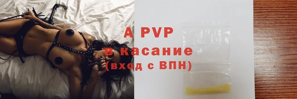 PSILOCYBIN Заволжье