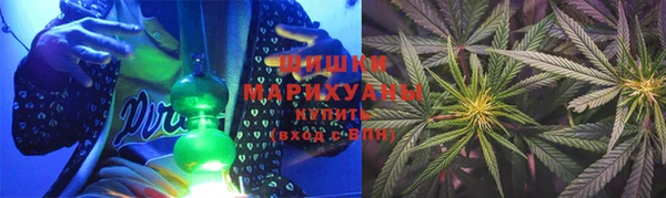 PSILOCYBIN Заволжье